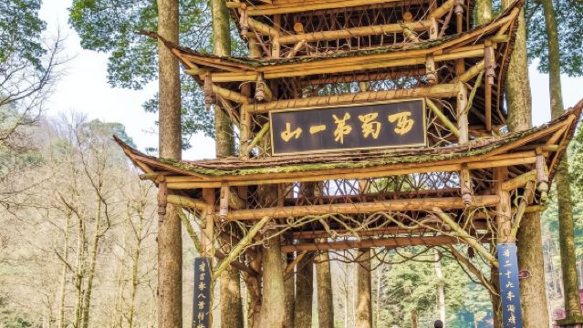 1-Day Tour to Mount Qingcheng and Dujiangyan (Private Tour + Private Charter Included + Admission Ticket Included + 1-on-1 Guide)