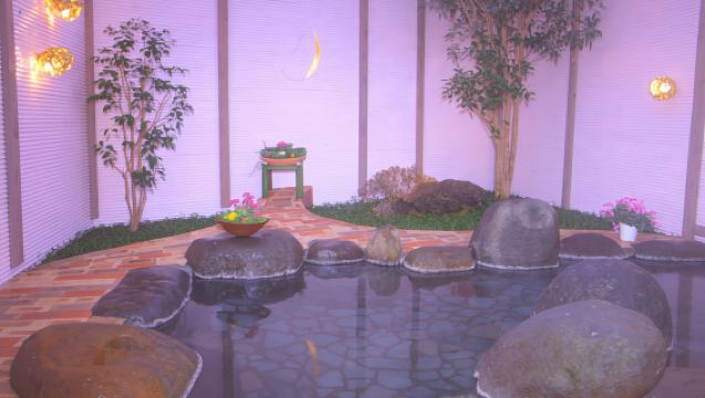 クアハウス 石橋旅館