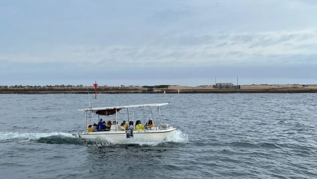 Durban: Crucero en barco de 1 hora desde Wilson's Wharf