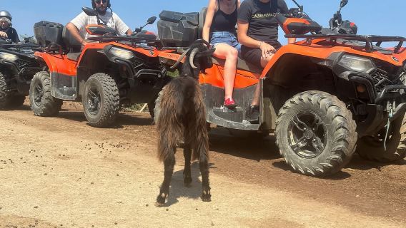 Kreta: Quad-Tour bei Sonnenuntergang oder am Morgen mit Verkostung lokaler Produkte