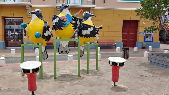 Willemstad: Kleurrijke geschiedenis wandeltocht van Curaçao