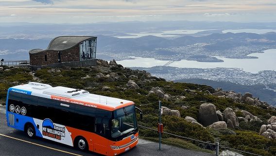 kunanyi/Mt Wellington Explorer Bus- Return Tour (2.5 hours)