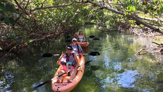 Mangroves and Manatees - Guided Kayak Eco Tour
