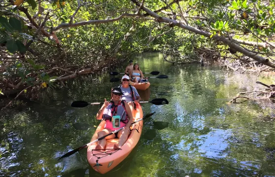 紅樹林與海牛－獨木舟生態之旅（導覽）