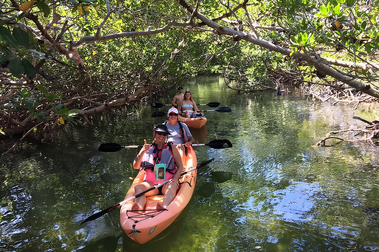 Manglares y manatíes: tour ecológico guiado en kayak