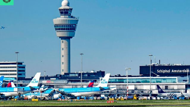 Privater Transfer vom Flughafen Amsterdam Schiphol