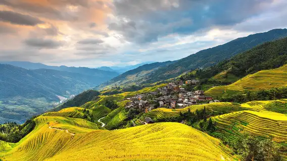 桂林龍脊梯田+金坑梯田一日遊【純玩8人小團|上門接駁】