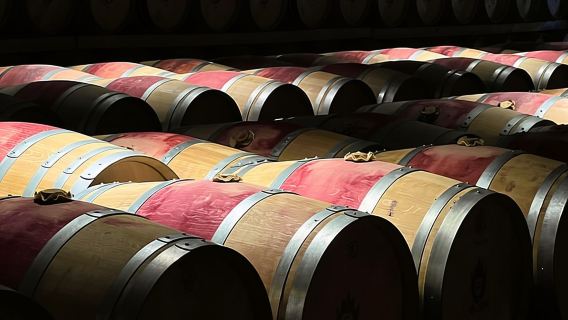 Medoc Small-Group morning Wine Tour tastings with aperitive platter & Chateau Visits from Bordeaux