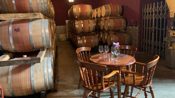 Setúbal Wine Tour with Visit and Tasting at 2 Wineries