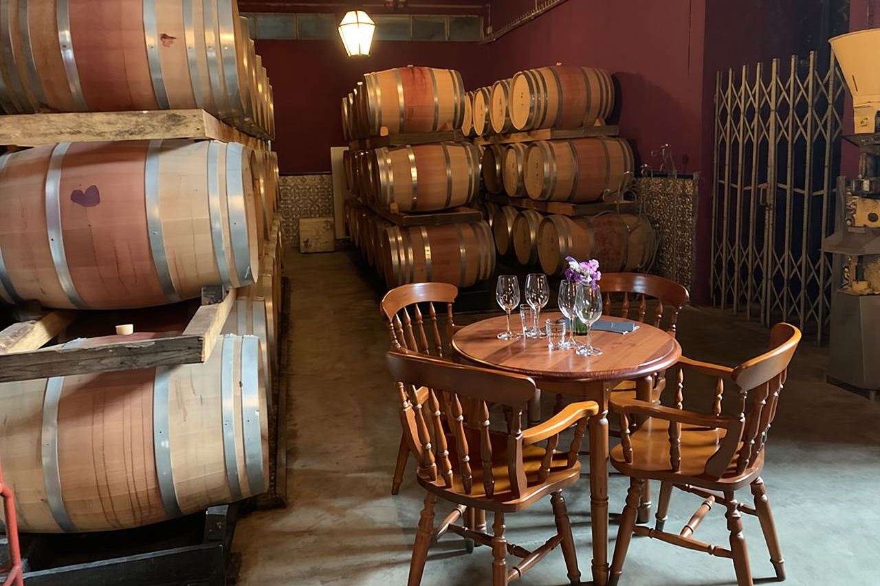 Tour enologico di Setúbal con visita e degustazione in 2 cantine
