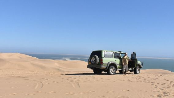 Pelabuhan sandwic dan Lawatan Welwitschia