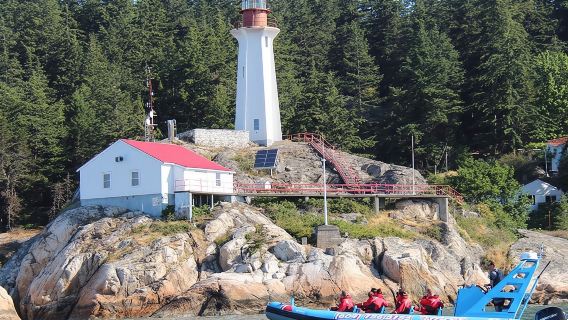 Экскурсия на лодке по Ванкуверу и местам обитания тюленей от Vancouver Water Adventures