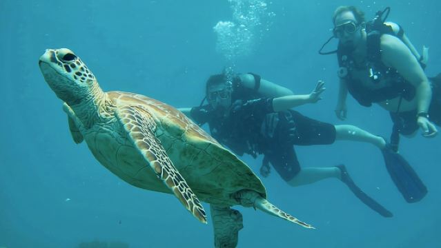 Fast stylish Catamaran in the Great Barrier Reef