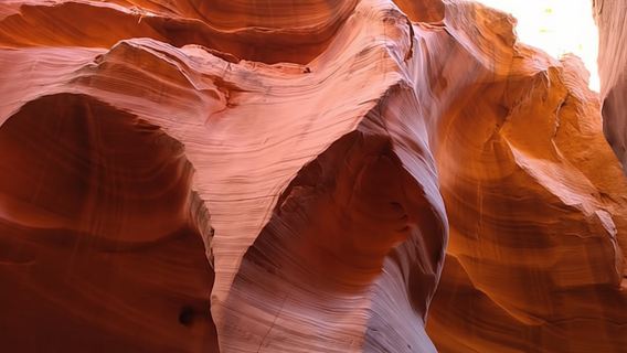 Lower Antelope Canyon and Horseshoe Bend Tour from Las Vegas