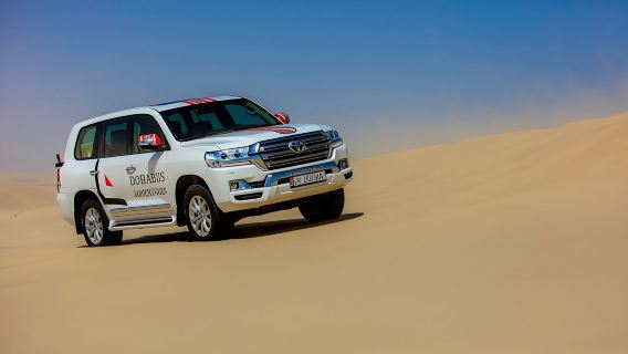 Half-Day Doha Desert Safari