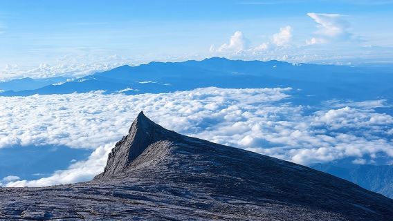 沙巴豪華尊享神山公園奶牛牧場魚療吊橋中文一日遊·可選5人小團