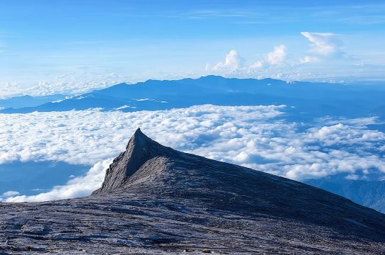 沙巴豪華尊享神山公園奶牛牧場魚療吊橋中文一日遊·可選5人小團