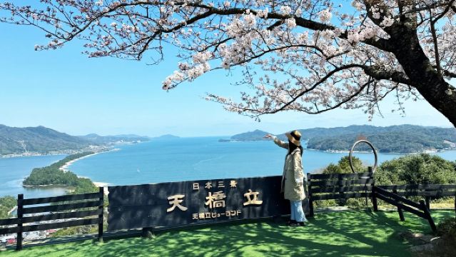 Excursión de un día a Osaka, Kioto y la playa de Amanohashidate + Ine Funaya | Teleférico, paseo en barco y alimentación de gaviotas (opcionales)