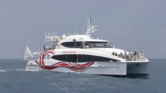 Sydney Whale Watching Fantasea Cruising Cruise