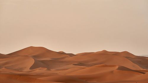 Abu Dhabi Desert Safari: Activities, Live Shows & VIP Area Dining Day Tours 1