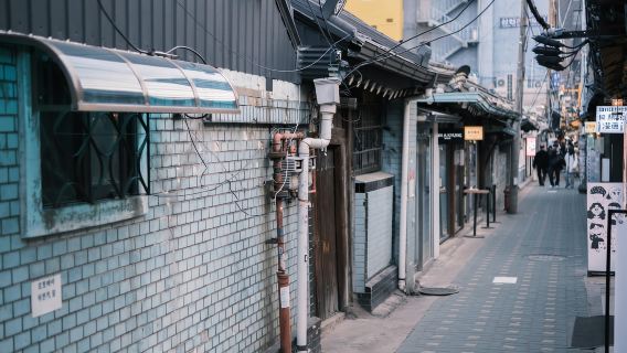 Seoul: Street Photoshoot and Hidden Gem History Walking Tour