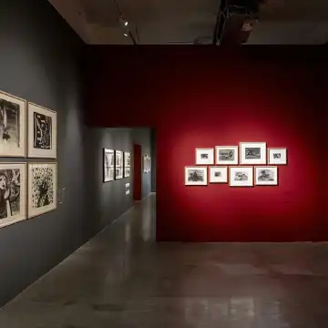 展覧会「デイヴィッド・リンチ：炎上」 | Trip.com