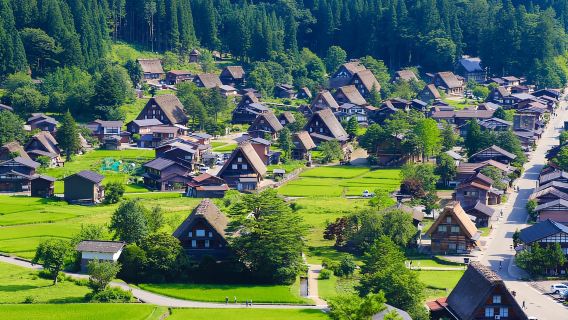 Nagoya: Hida Takayama & Shirakawa-go Tour w/Optional Lunch