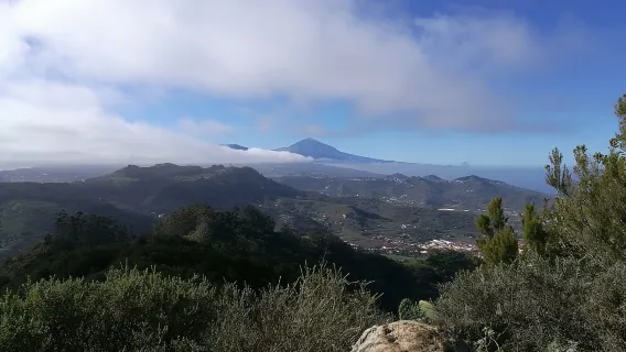 Santa Cruz de Tenerife: 2-stündige Wandertour im Anaga-Wald
