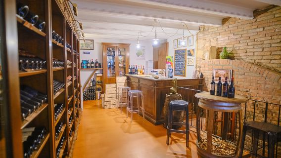 Dari Florence: Tur Val D'Orcia dengan Mencicipi Anggur