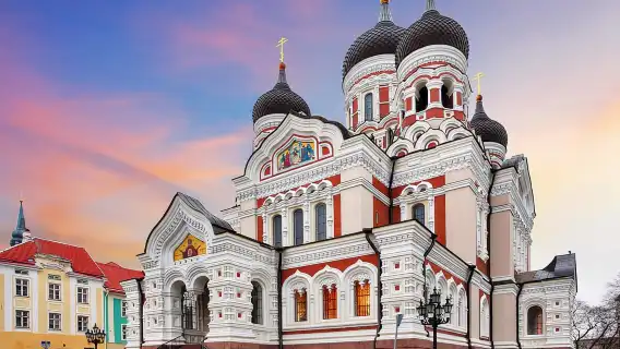 Shore Excursion in Tallinn