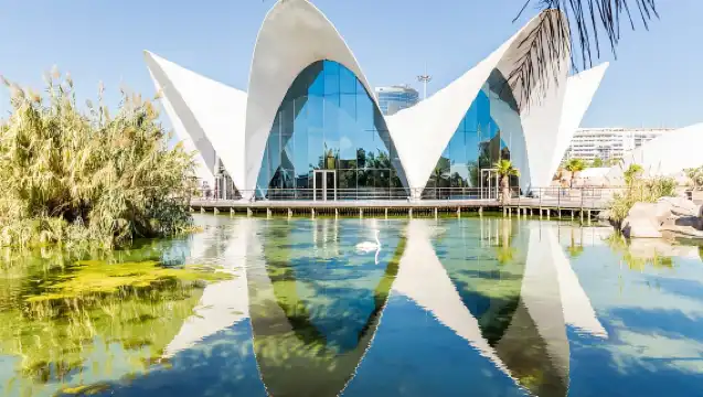 Valencia: Oceanogràfic, Hemisfèric & Science Museum Combo