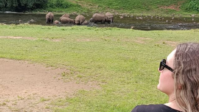 阿納庫拉姆野生大象村生活體驗（由蒙納資訊提供）