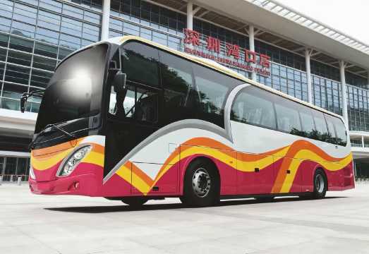 [Hong Kong-Shenzhen Express] Cross-border Direct Bus Round-trip Ticket between Hong Kong Urban Area and Shenzhen Bay Port (Provided by Trans-Island...
