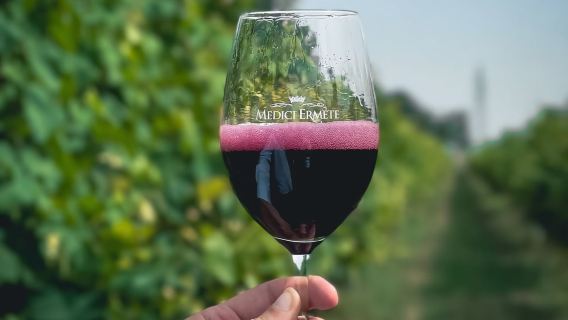 Balsamic Vinegar, Wine Tasting & Tour near Parma & Reggio