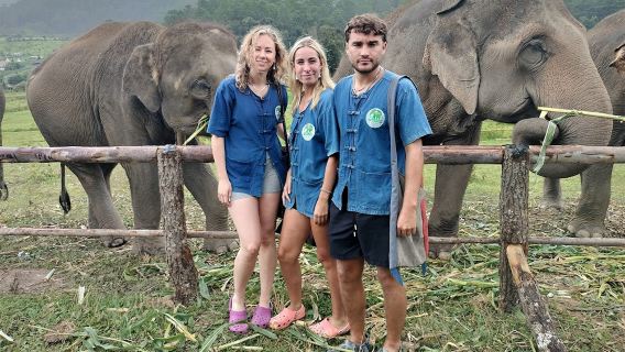 Chiang Mai Living Green Elephant Camp Halbtagesausflug