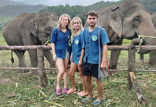 Chiang Mai Living Green Elephant Sanctuary Half-Day Tour