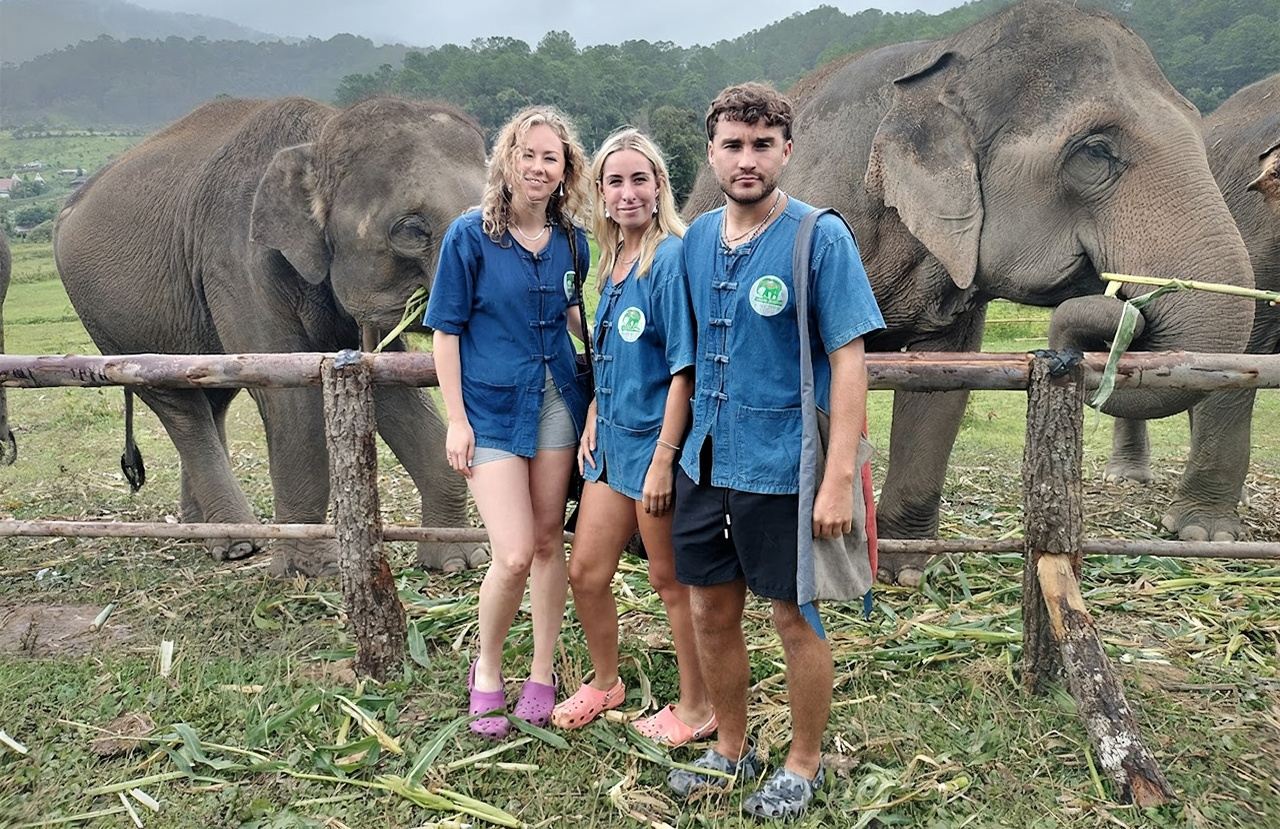 Chiang Mai Living Green Elephant Sanctuary Half-Day Tour
