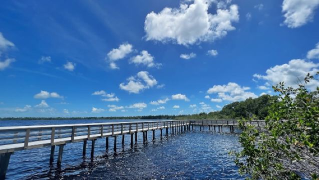 美國邁阿密-大沼澤地公園-享一日自然療癒【中文包車自由行】