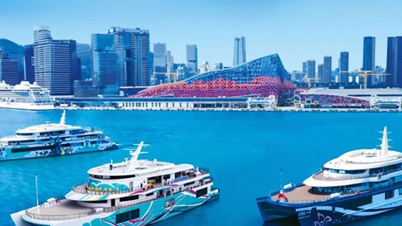 Shenzhen Rejs wycieczkowy po Zatoce Wielkiego Obszaru nr 1/nr 2 Most Hongkong-Zhuhai-Makau 200-minutowy półdniowy bilet zwiedzania