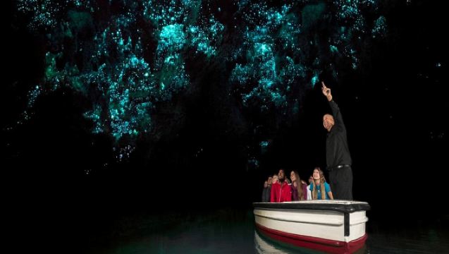 Explore Waitomo and Hobbiton from Auckland to Rotorua - Full-Day Tour