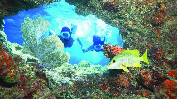 Key West Reef Snorkel – Morning Mimosas or Afternoon Margaritas