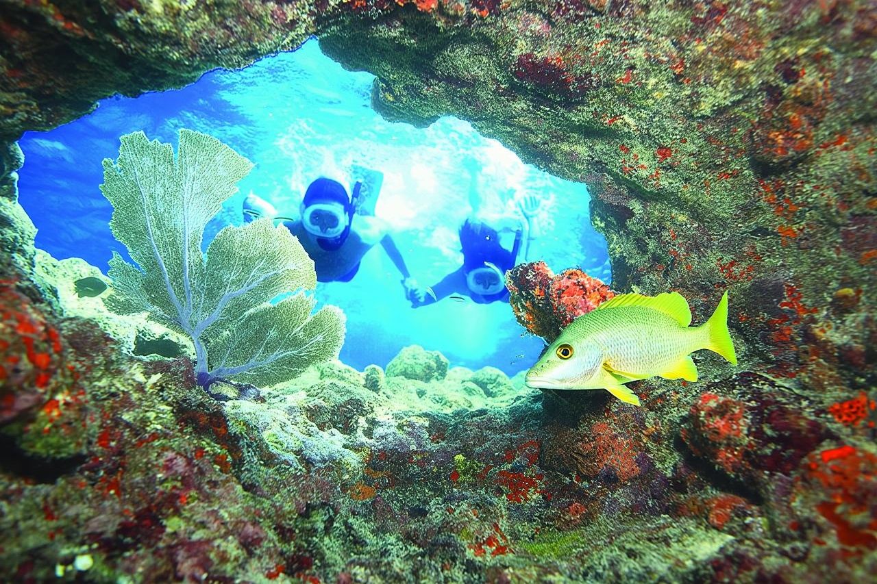 Key West Reef Snorkeling – Mimose al mattino o Margarita al pomeriggio