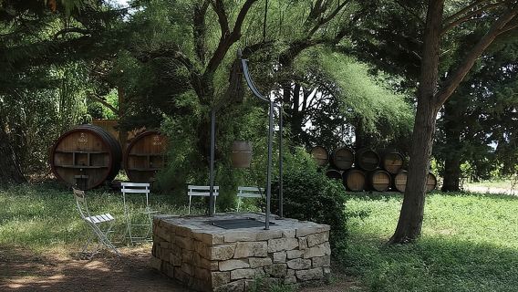 Wine Tour Bandol and Cassis from Marseille