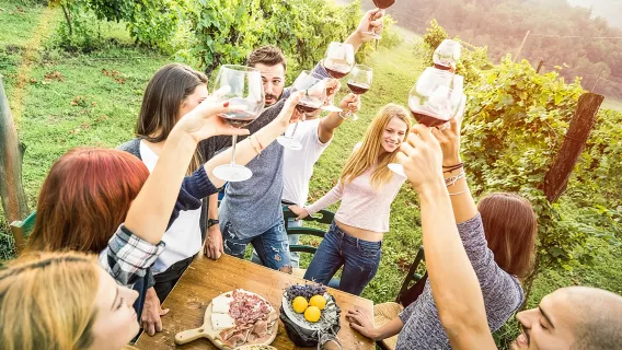 Bliss - Il tour enologico più lussuoso di Sedona - Pranzo incluso!