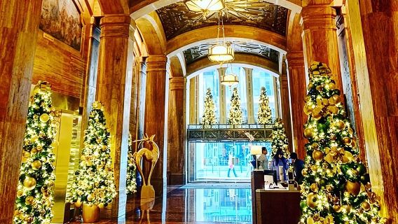 Tour del tunnel di Astroville nel centro di Houston (con aria condizionata)