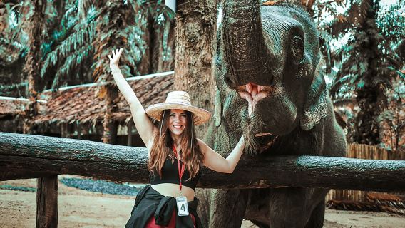 Туризм в Таиланде: Экскурсия на полдня в заповедник слонов KES в Краби — купание и кормление слонов, общение родителей и детей