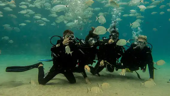 Discover Scuba Diving