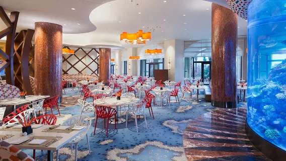 Voucher ăn tự chọn tại Khách sạn Chimelong Hengqin Bay Chu Hải - Nhà hàng cá heo (bữa sáng/trưa/tối) hoặc combo vé khu vui chơi nước Hengqin Bay