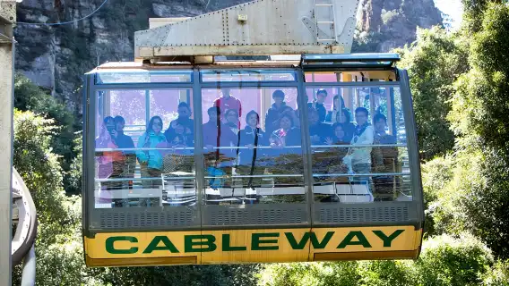 Blue Mountains 1-day tour+ Koala Photo [Includes Blue Mountains cable car and Kangaroo Feeding at Sydney Zoo]