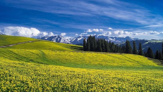 伊犁庫爾德寧一日遊【純包車+景點接駁車+齊夢德+上門接】